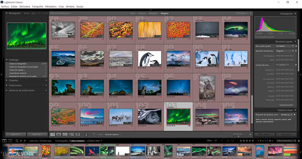 Porque Photoshop No Me Deja Guardar En Pdf